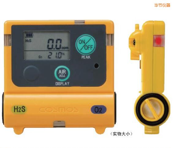 畢節(jié)復(fù)合型氣體檢測器