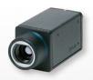 �t�����x