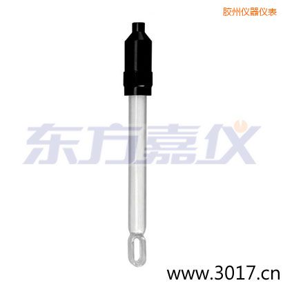 膠州玻璃外殼無溫補兩線電導率電極