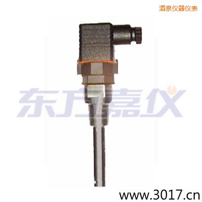 酒泉含有溫度的兩線電導(dǎo)率電極