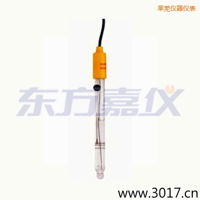 萊蕪可填充玻璃管電極