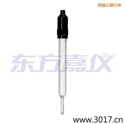 南昌玻璃外殼無溫補兩線電導(dǎo)率電極