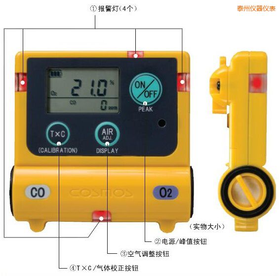 泰州復(fù)合型氣體檢測(cè)器