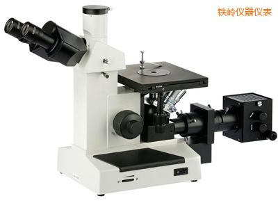 �F�X�����@΢�R